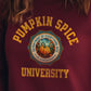 Pumpkin Spice University - Department of Everything Nice – Thanksgiving Holiday Wear! Unisex long sleeve t-shirt